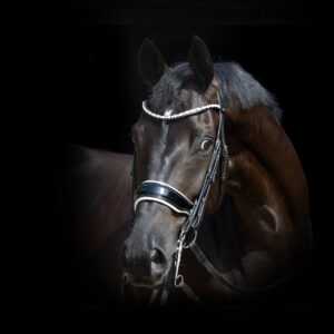 Frontriem Swarovski