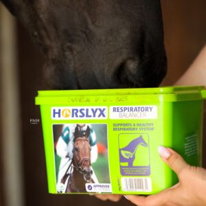 Horslyx 5kg