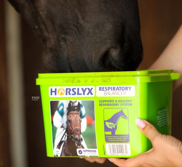 Horslyx 5kg