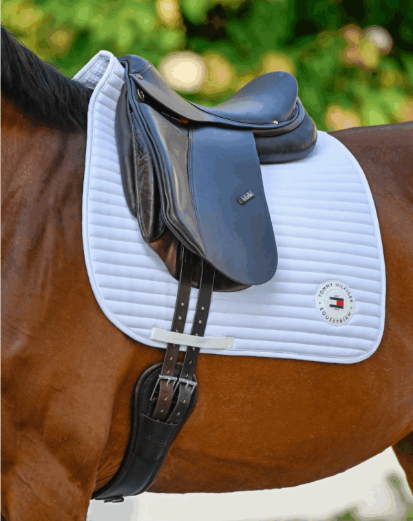 Upstate Dressage Saddle Pad  OPTIC WHITE