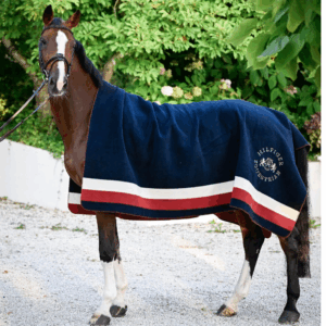 Hillsdale Square Rug MULTI
