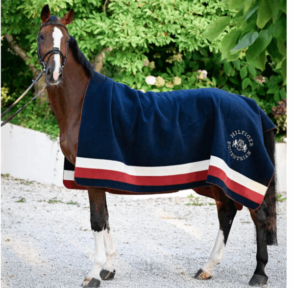 Hillsdale Square Rug MULTI
