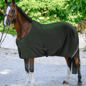Stanford Fleece Rug PINE
