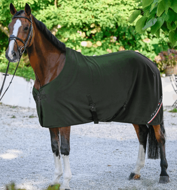 Stanford Fleece Rug PINE