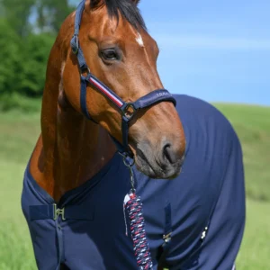 Lincoln Halter DESERT SKY