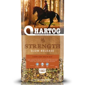 Hartog Strenght